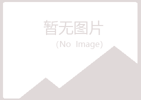 孝昌县冰夏制造有限公司